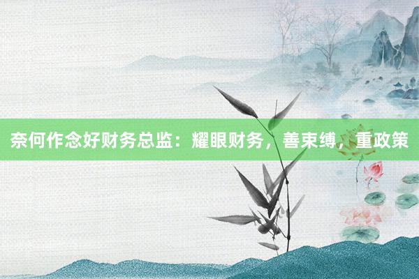奈何作念好财务总监：耀眼财务，善束缚，重政策