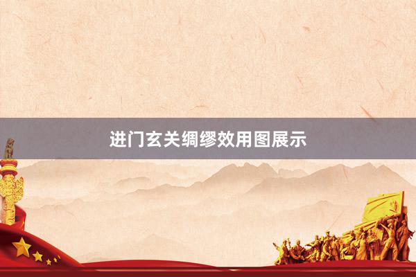 进门玄关绸缪效用图展示