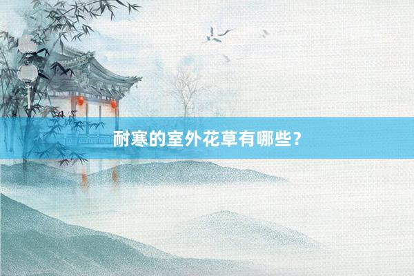 耐寒的室外花草有哪些？