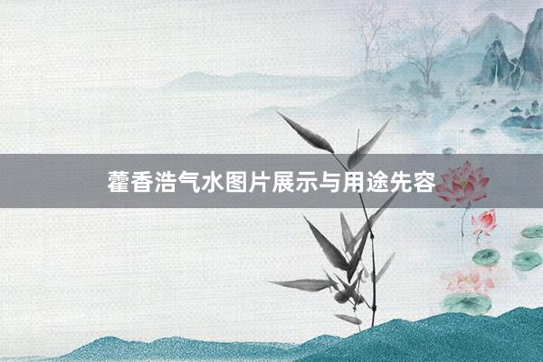 藿香浩气水图片展示与用途先容
